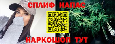 хмурый Сланцы
