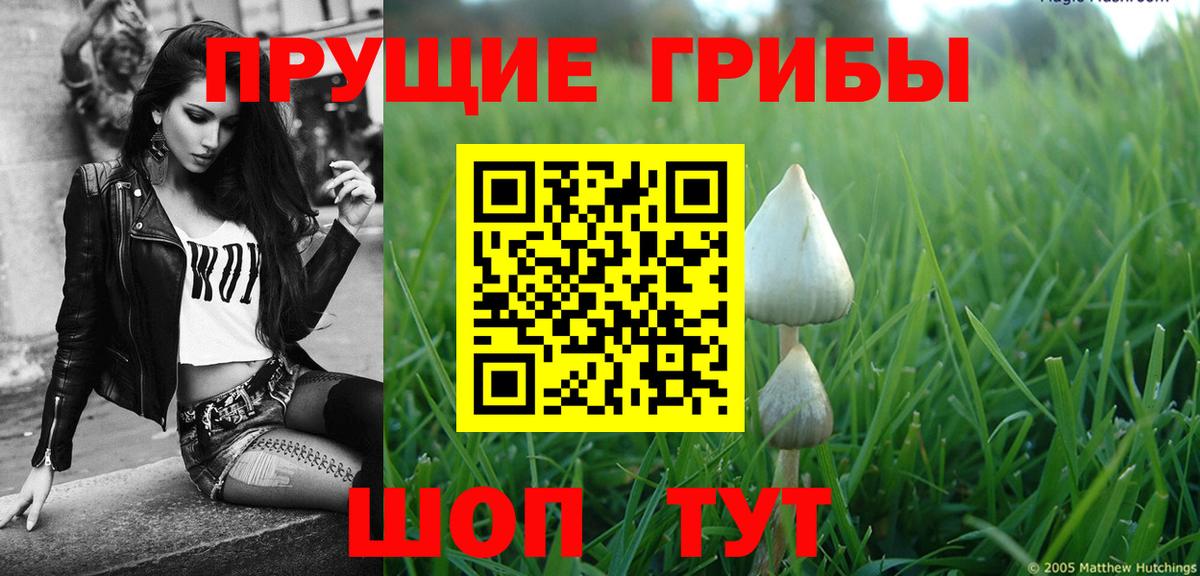 Галлюциногенные грибы Magic Shrooms Нальчик